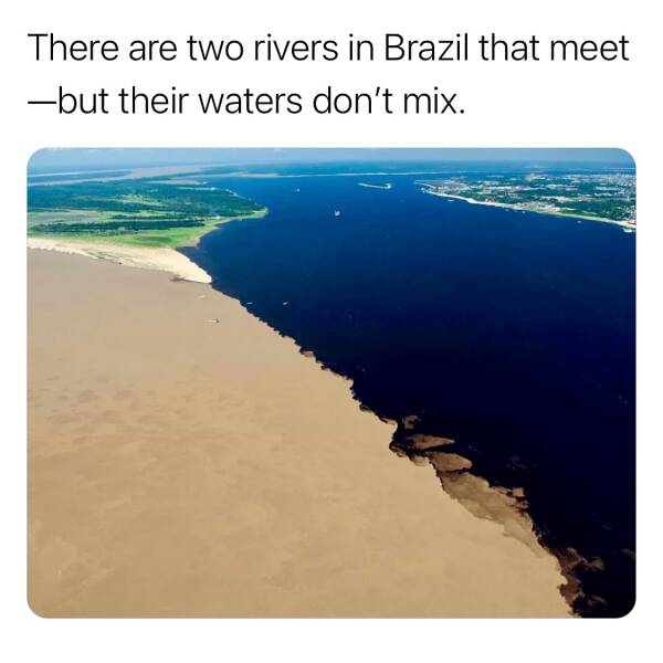 Daily Pictures. Part 1 (63 pics)