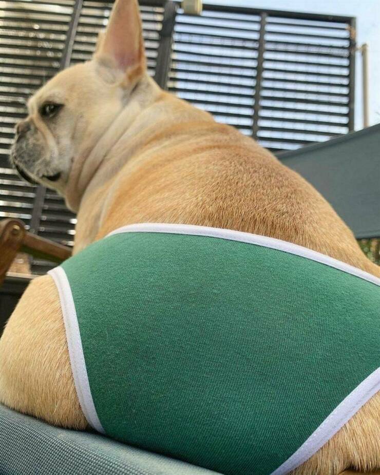 Daily Pictures. Part 1 (63 pics)