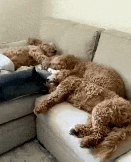 Acid GIFs, May 13 (25 gifs)