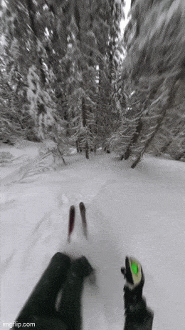 1747044479_21.gif