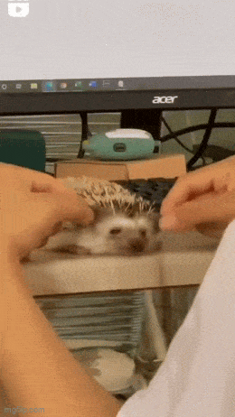 Acid GIFs, May 13 (25 gifs) Acid GIFs, May 13 (25 gifs)