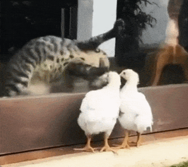 Acid GIFs, May 13 (25 gifs)
