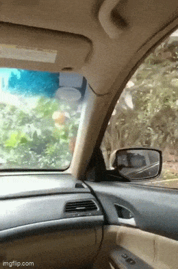 Acid GIFs, May 13 (25 gifs) Acid GIFs, May 13 (25 gifs)