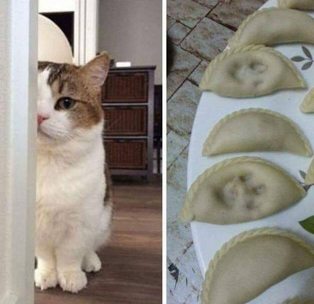 Bad Days Happen (27 pics)