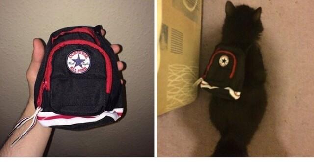 Expectations Against Reality (21 pics)