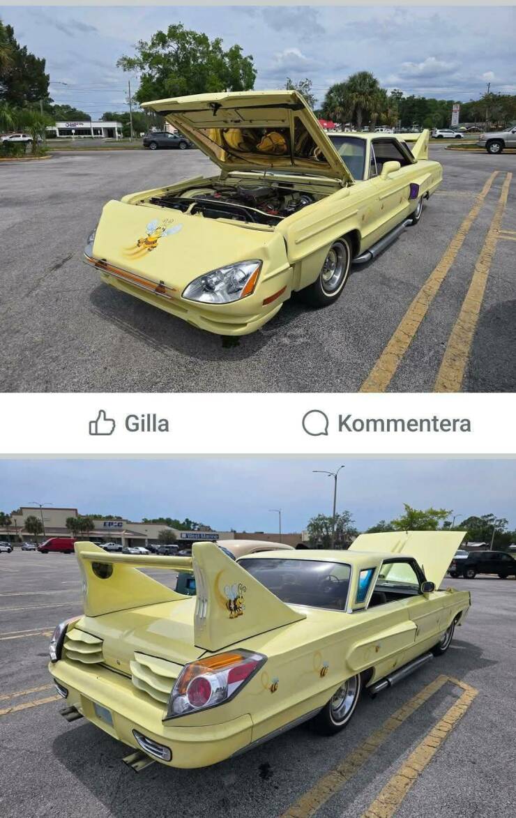 Daily Pictures. Part 1 (52 pics)
