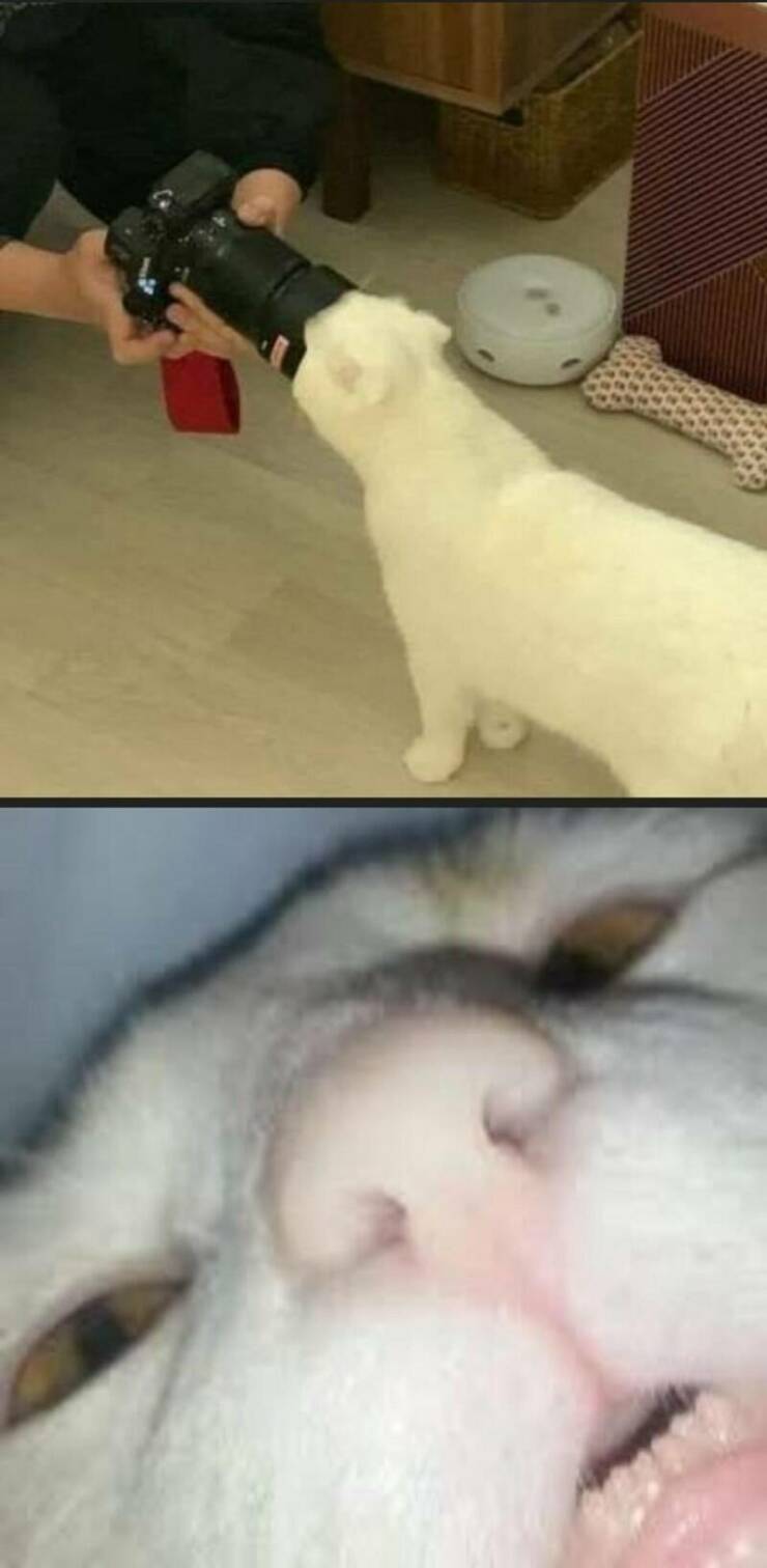 Daily Pictures. Part 2 (51 pics)