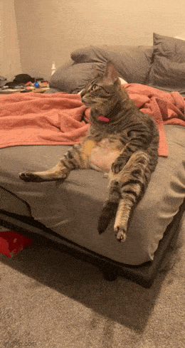 Acid GIFs, May 14 (25 gifs) Acid GIFs, May 14 (25 gifs)