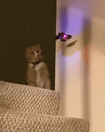 Acid GIFs, May 14 (25 gifs) Acid GIFs, May 14 (25 gifs)