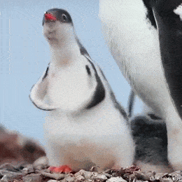 Acid GIFs, May 14 (25 gifs) Acid GIFs, May 14 (25 gifs)