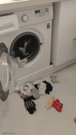 Acid GIFs, May 14 (25 gifs)