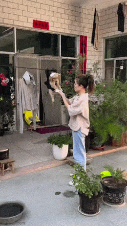 Acid GIFs, May 14 (25 gifs) Acid GIFs, May 14 (25 gifs)