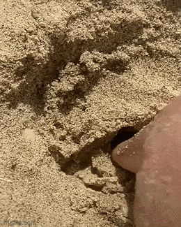 Acid GIFs, May 14 (25 gifs) Acid GIFs, May 14 (25 gifs)