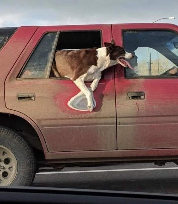 Time Changes Everything (19 pics)