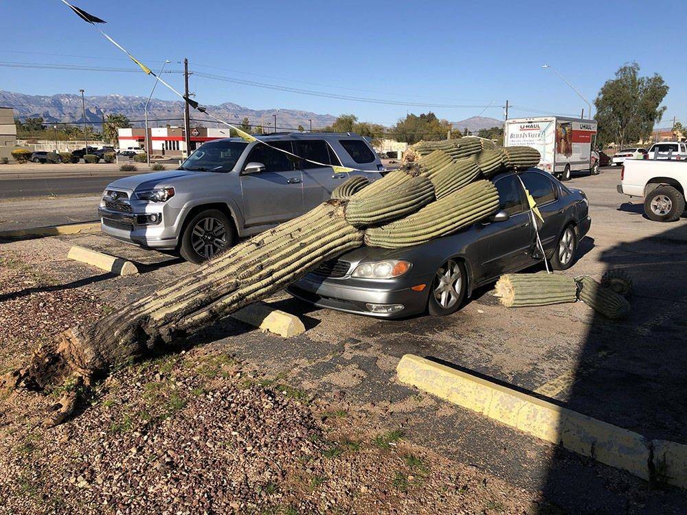 It Was A Really Bad Day (21 pics)