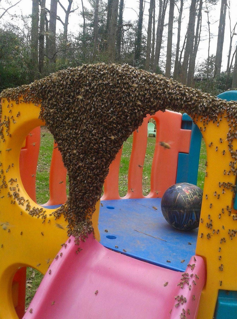 It Was A Really Bad Day (21 pics)