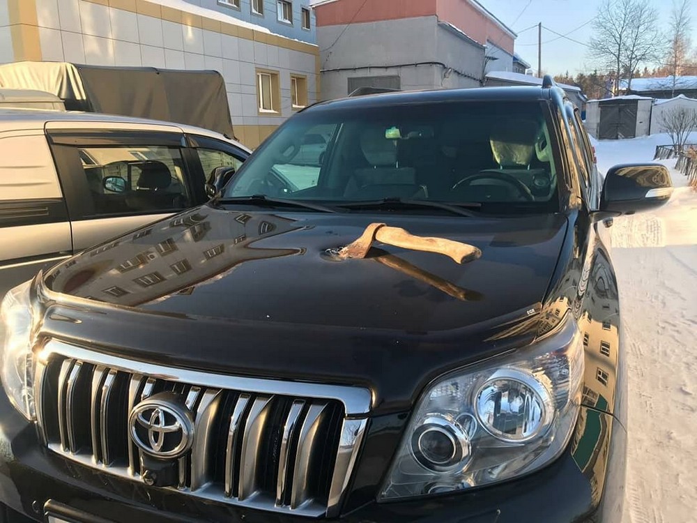 It Was A Really Bad Day (21 pics)
