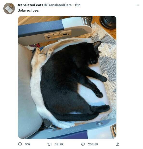 Daily Pictures. Part 2 (60 pics)