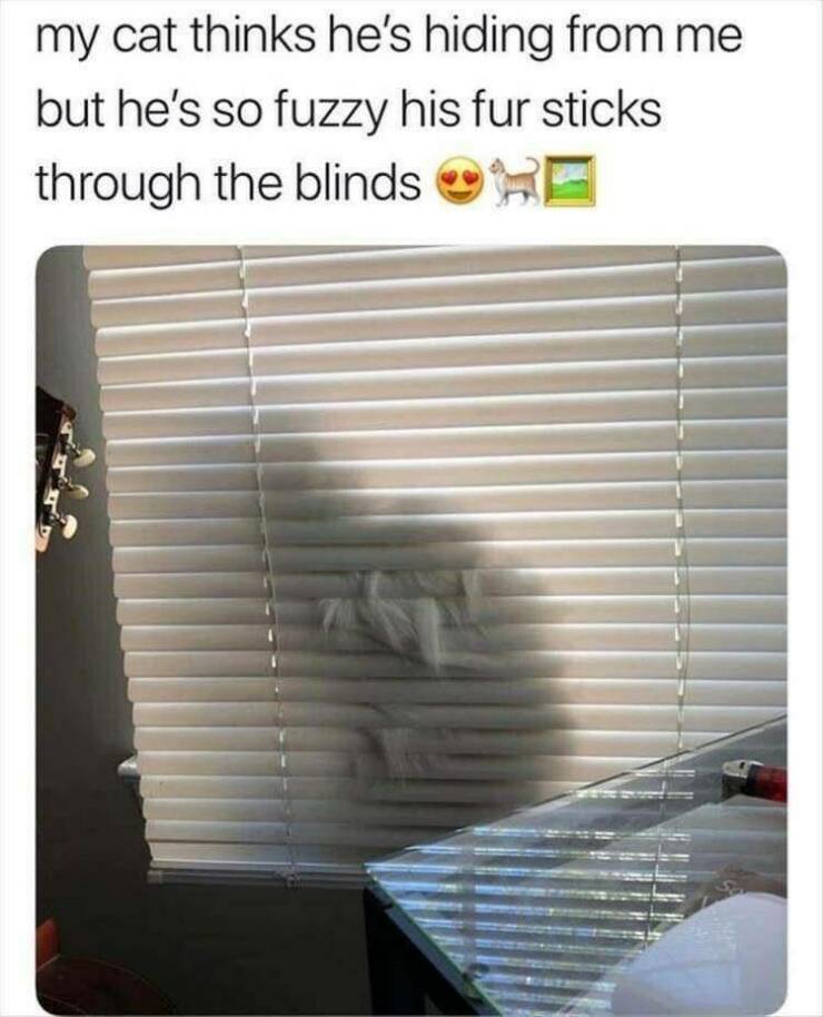 Daily Pictures. Part 2 (60 pics)
