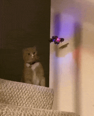 Acid GIFs, May 15 (25 gifs) Acid GIFs, May 15 (25 gifs)