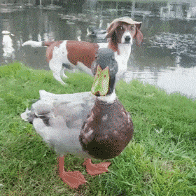 Acid GIFs, May 15 (25 gifs) Acid GIFs, May 15 (25 gifs)
