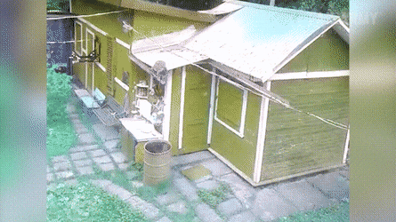 Acid GIFs, May 15 (25 gifs) Acid GIFs, May 15 (25 gifs)