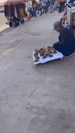 Acid GIFs, May 15 (25 gifs) Acid GIFs, May 15 (25 gifs)