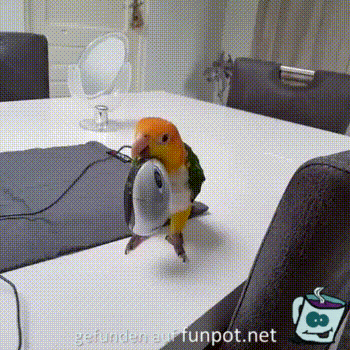 Acid GIFs, May 15 (25 gifs) Acid GIFs, May 15 (25 gifs)