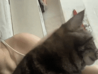 Acid GIFs, May 15 (25 gifs) Acid GIFs, May 15 (25 gifs)