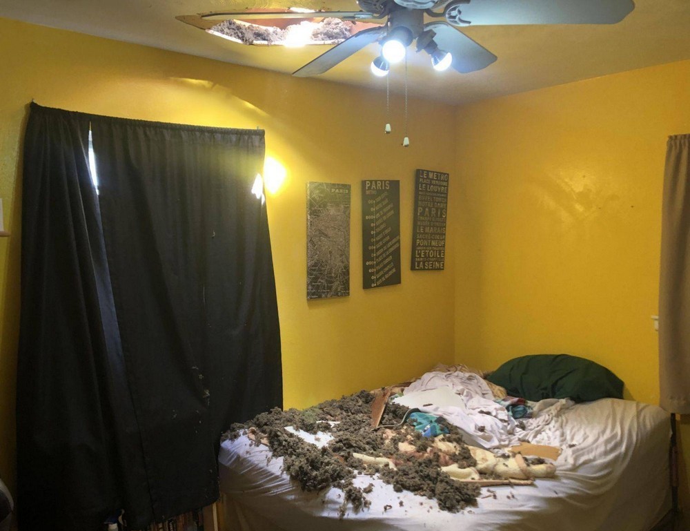 Bad Days Happen (20 pics)