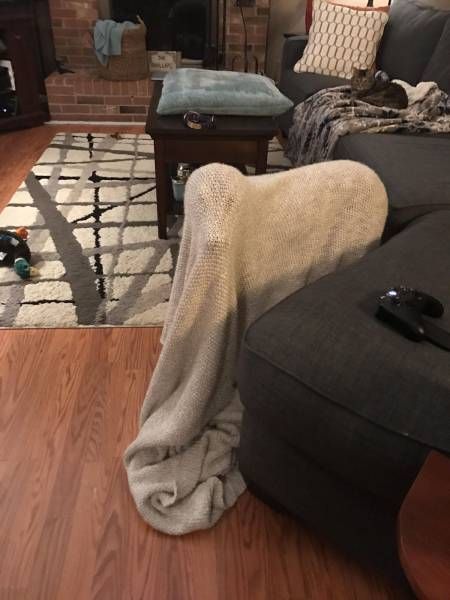 Daily Pictures. Part 1 (64 pics)