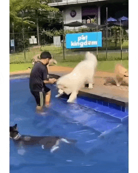 Acid GIFs, May 16 (25 gifs) Acid GIFs, May 16 (25 gifs)