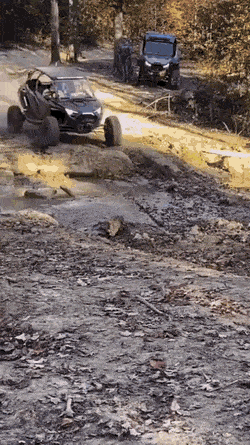 Acid GIFs, May 16 (25 gifs) Acid GIFs, May 16 (25 gifs)