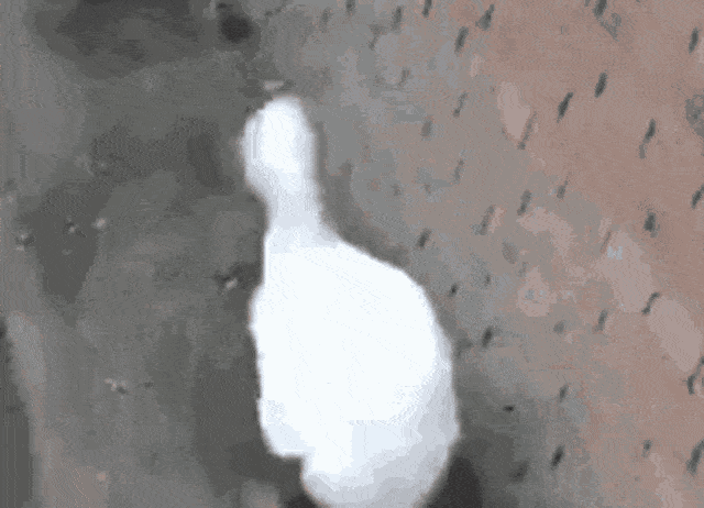 Acid GIFs, May 16 (25 gifs) Acid GIFs, May 16 (25 gifs)