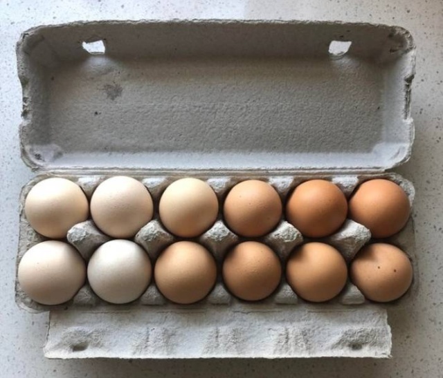 Photos For Perfectionists (20 pics)