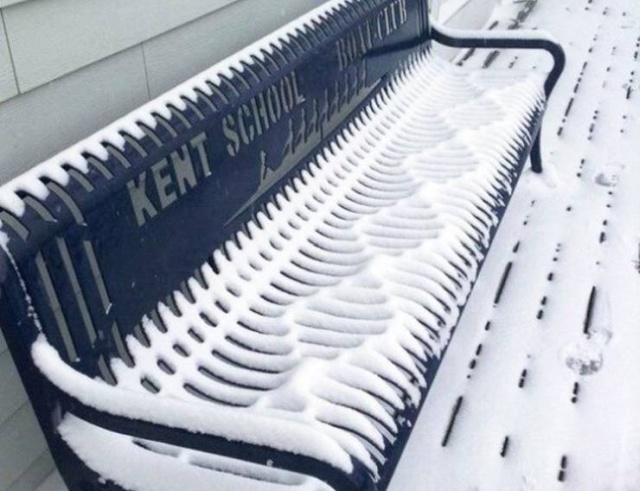 Photos For Perfectionists (20 pics)