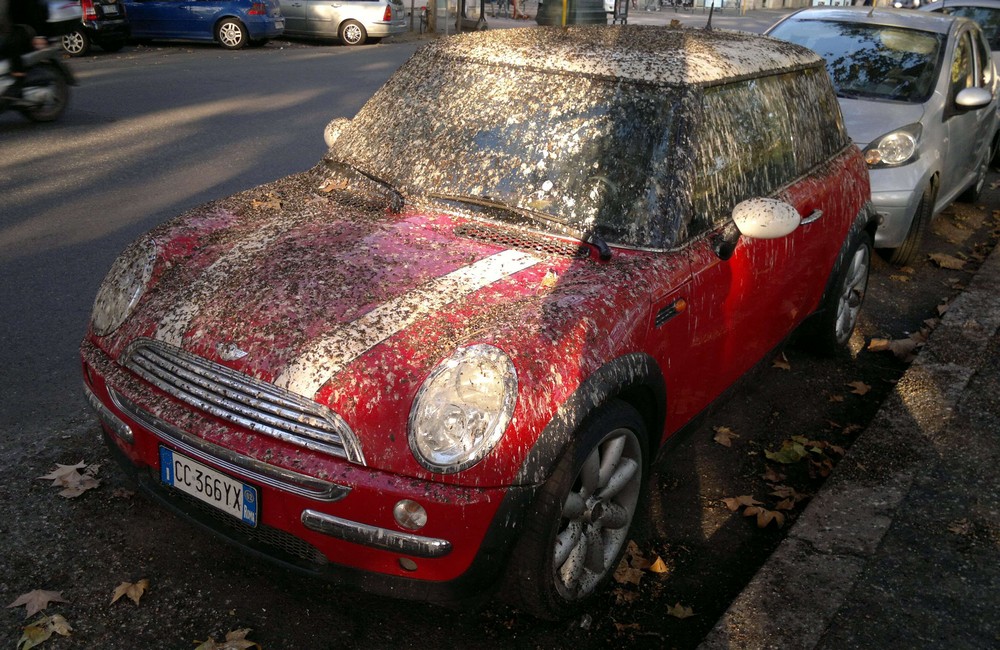 Bad Days Happen (23 pics)