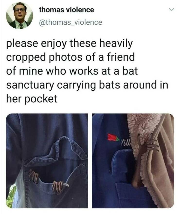 Daily Pictures. Part 2 (59 pics)