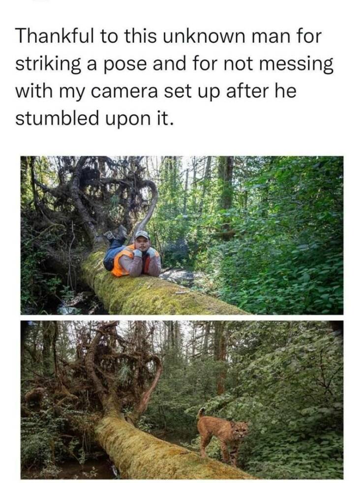Daily Pictures. Part 2 (59 pics)