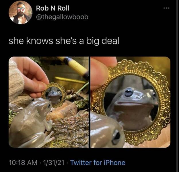 Daily Pictures. Part 2 (59 pics)