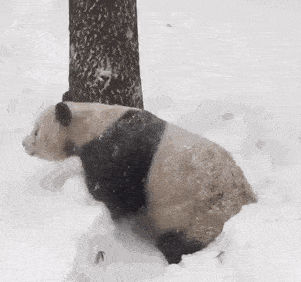 Acid GIFs, May 19 (25 gifs) Acid GIFs, May 19 (25 gifs)