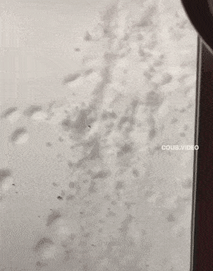 Acid GIFs, May 19 (25 gifs) Acid GIFs, May 19 (25 gifs)