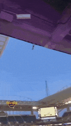 Acid GIFs, May 19 (25 gifs) Acid GIFs, May 19 (25 gifs)