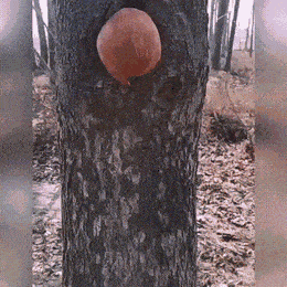 Acid GIFs, May 19 (25 gifs) Acid GIFs, May 19 (25 gifs)