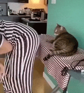 Acid GIFs, May 19 (25 gifs)