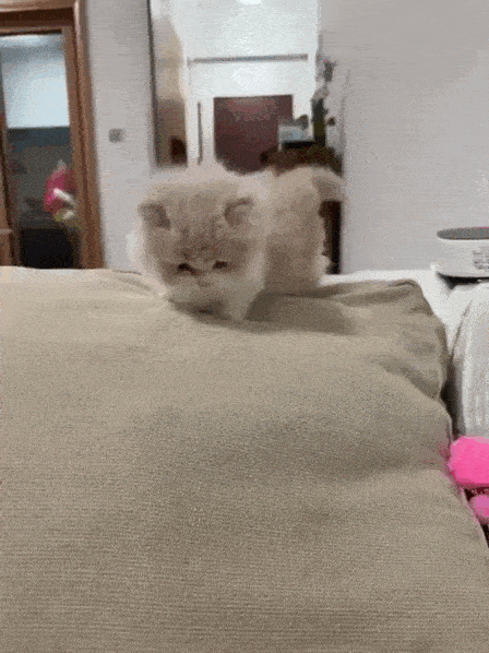 Acid GIFs, May 19 (25 gifs) Acid GIFs, May 19 (25 gifs)