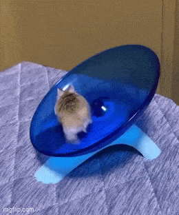 Acid GIFs, May 19 (25 gifs) Acid GIFs, May 19 (25 gifs)