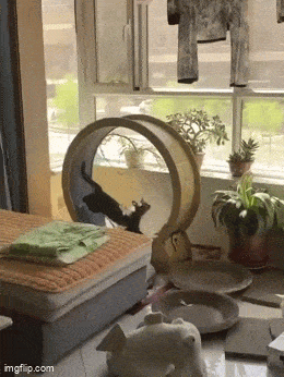 Acid GIFs, May 19 (25 gifs) Acid GIFs, May 19 (25 gifs)