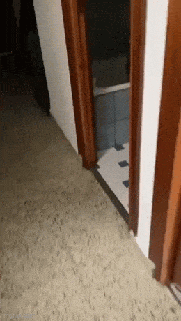 Acid GIFs, May 19 (25 gifs) Acid GIFs, May 19 (25 gifs)