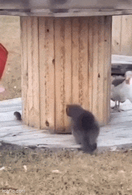 Acid GIFs, May 19 (25 gifs) Acid GIFs, May 19 (25 gifs)
